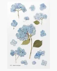 Naklejki ozdobne kwiaty Hortensja - Appree