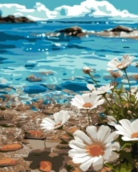 Malowanie po numerach - Cosmeya na wybrzeżu 40x50 - Qbee