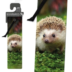 Zakładka 3D 15408 - Jeż - IF