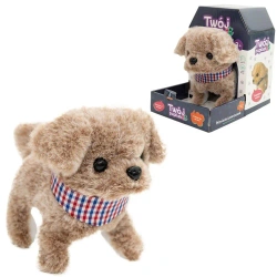 Twój pupilek piesek - Askato