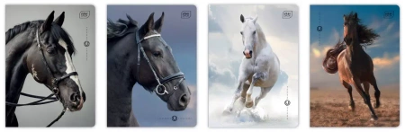 Zeszyt A5/32k kratka 70g Uv Wild Horses Int A 10