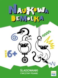 Śladowanki. Ćwiczymy pisanie 6+ - Magdalena Marczewska, Wiesława Żaba-Żabińska