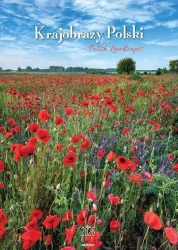 Kalendarz 2026 ścienny Krajobrazy Polski - AVANTI