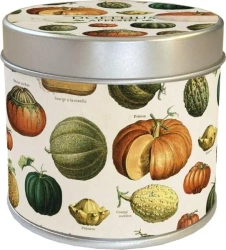 Zapachowa świeczka dynie - zapach pomarańcz - Skona Ting