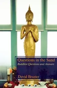 Questions in the Sand - David Brazier