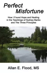 Perfect Misfortune - Allan E. Flood