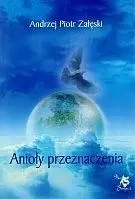 Anioły przeznaczenia - Andrzej Piotr Załęski