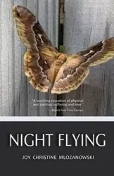 Night Flying - Joy Christine Mlozanowski