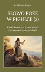 Słowo Boże w pigułce T.2 - Wojciech Kardyś