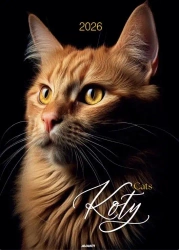 Kalendarz 2026 ścienny Koty - AVANTI