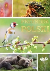 Przyroda Polski. Wydawnictwo Fenix - praca zbiorowa