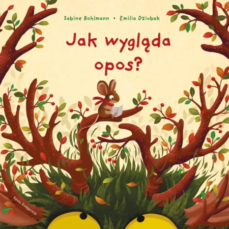 Jak wygląda opos? - Sabine Bohlmann, Emilia Dziubak