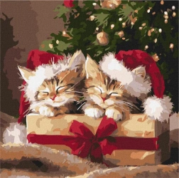 Malowanie po numerach - Puszyste prezenty 40x40cm - Ideyka