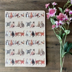 Zeszyt B5/40K linia SNL02 Kocia miłość - Alex Clark