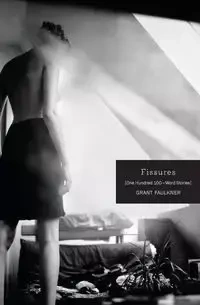 Fissures - Grant Faulkner