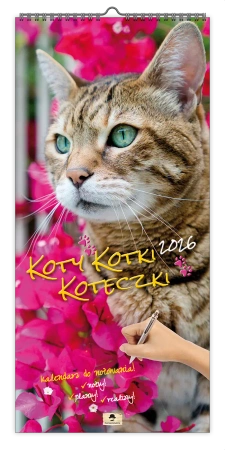 Kalendarz 2026 paskowy szeroki koty kotki koteczki - Pan Kalendarzyk