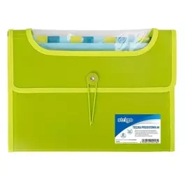 Teczka A4 z 12 przekładkami V-file zielona STRIGO