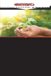 Gouvernance de l'eau dans la vallée du Jourdain - Ayadi Yousef