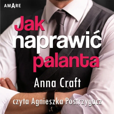 audiobook Jak naprawić palanta. Instrukcja w 10 krokach - Anna Craft