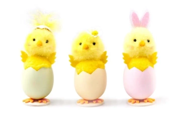 Kurczaczek wielkanocny w skorupce mix - Artyk