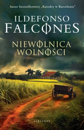 Niewolnica wolności - Ildefonso Falcones
