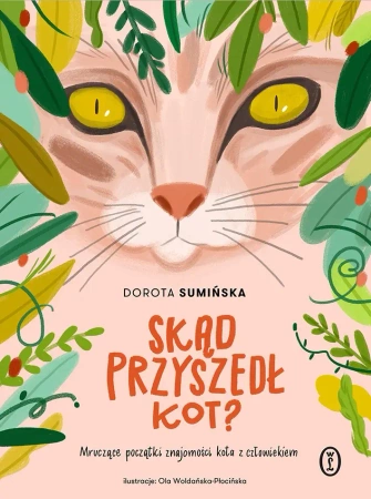 Skąd przyszedł kot? - Dorota Sumińska, Ola Woldańska-Płocińska