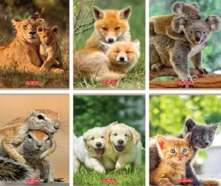 Zeszyt A5/32K kratka Animals (10szt) - HERLITZ