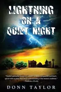 Lightning on a Quiet Night - Taylor Donn