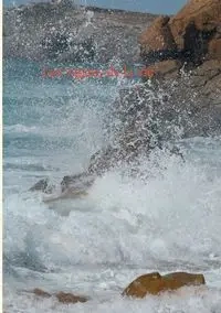 Les vagues de la vie - Beaujean Jean-Pierre