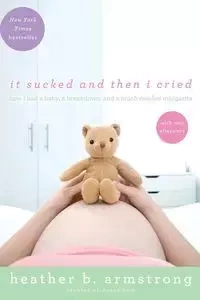 It Sucked and Then I Cried - Heather Armstrong