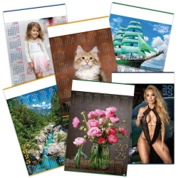 Kalendarz 2026 plakatowy MIX (18szt) - Telegraph
