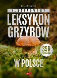 Ilustrowany leksykon grzybów w Polsce - Wiesław Kamiński