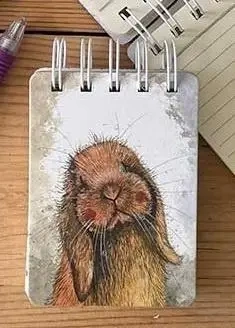 Kołonotes A7 SSN49 Króliczek - Alex Clark