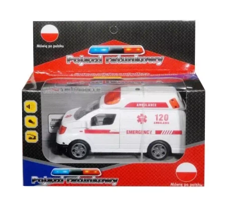 Auto z polskim modułem głosowym - SWEDE