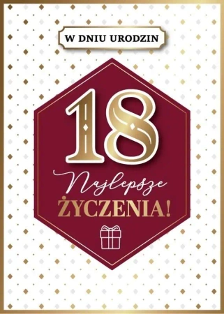 Kanet Urodziny 18 - Armin Style