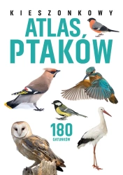 Kieszonkowy atlas ptaków. 180 gatunków - Jan Król