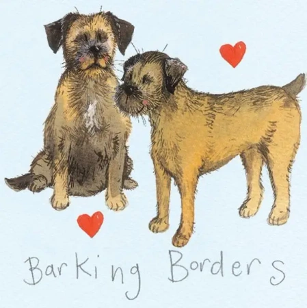 Magnes FM11 Border terrier - Alex Clark