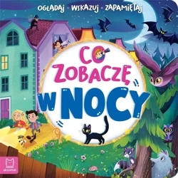 Co zobaczę w nocy. Oglądaj, wskazuj, zapamiętuj - Sylwia Kajdana