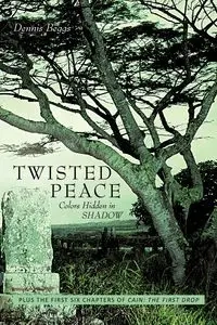 Twisted Peace Colors Hidden in Shadow - Dennis Beggs