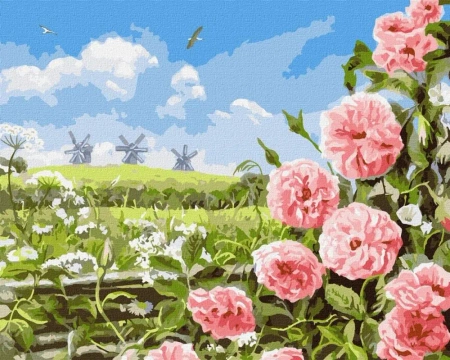 Malowanie po numerach - Delikatność pól 40x50cm - Ideyka