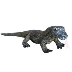 Waran z Komodo 70cm - Dubi