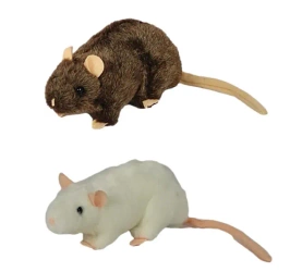 Szczur 20cm MIX - Dubi