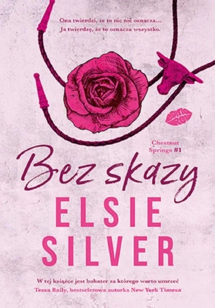 Chestnut Springs T.1 Bez skazy - Elsie Silver