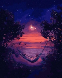 Malowanie po numerach czarne płótno - Nocna... - Twoje Hobby