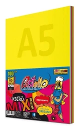 Papier ksero A5 80g 5 kolorów 100 arkuszy - Alfa Pastello