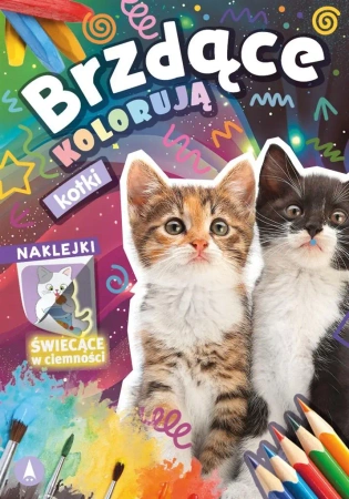 Brzdące kolorują. Kotki - praca zbiorowa