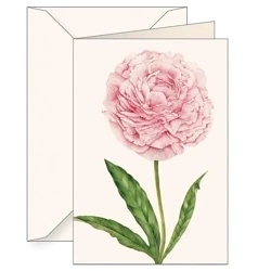 Karnet B6 + koperta 6141 Piwonia chińska - Tassotti