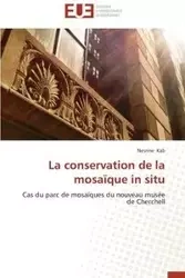 La conservation de la mosaïque in situ - KAB-N