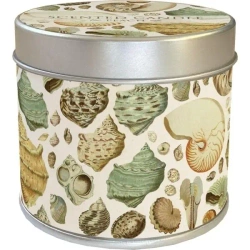 Zapachowa świeczka Muszle - zapach brzoskwiniowy - Skona Ting