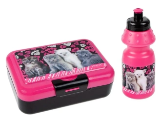 Bidon 350ml + pudełko śniadaniowe Kotki - STARPAK